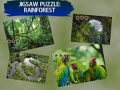 Gioco Puzzle Jigsaw Foresta Pluviale in linea