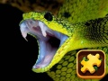 Gioco Sfida del Puzzle Serpente in linea