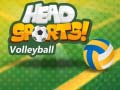 Gioco Pallavolo Head Sports in linea