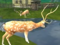 Gioco Caccia al Cerval: Tiro del Cecchino in linea