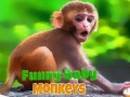 Gioco Buffo baby monkey in linea