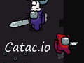 Gioco Catac.io in linea