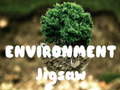 Gioco Puzzle dell'Ambiente in linea