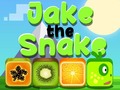 Gioco Jake il Serpente in linea