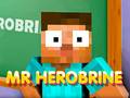 Gioco Sig. Herobrine in linea