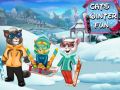 Gioco Divertimento invernale per gatti in linea