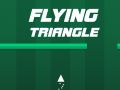 Gioco Triangolo volante in linea