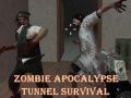 Gioco Sopravvivenza nel tunnel dell'apocalisse zombi in linea