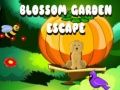 Gioco Fuga dal Giardino in Fiore in linea