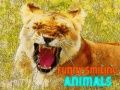 Gioco Animali Divertenti e Sorridenti in linea