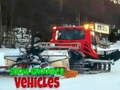 Gioco Veicoli per la Preparazione della Neve in linea
