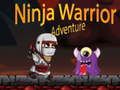 Gioco Avventura del Guerriero Ninja in linea