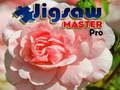 Gioco Maestro dei Puzzle Pro in linea