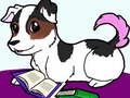 Gioco Scivolo per Animali Domestici in linea