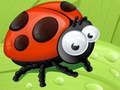 Gioco Scivolo Coccinella in linea