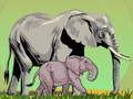Gioco Animali Selvatici e i Loro Cuccioli in linea