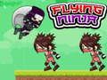 Gioco Ninja Volante in linea