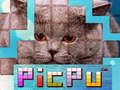 Gioco PicPu Gatto in linea