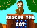 Gioco Salva il gatto in linea