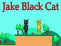 Gioco Jake Gatto Nero in linea