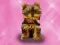Gioco Lavare Animali Domestici Principessa Bambini in linea
