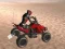 Gioco Corsa nel deserto in linea