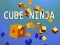 Gioco Ninja Cubo in linea