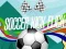 Gioco Calcio Flick in linea