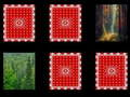 Gioco Memoria del Bosco in linea