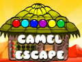 Gioco Fuga del cammello in linea