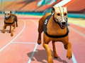 Gioco Corsi di Cani 3D in linea