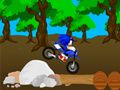 Gioco Corsa Incrociata di Sonic in linea