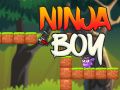 Gioco Ragazzo Ninja in linea