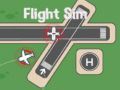 Gioco Simulatori di Volo in linea