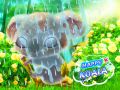 Gioco Koala Felice in linea