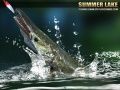 Gioco Lago Estivo 1.5 in linea