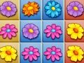Gioco Frantumazione del Giardino Fiorito in linea