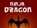 Gioco Drago Ninja in linea