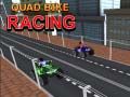Gioco Corsa su Quad in linea