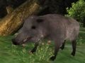 Gioco Caccia al cinghiale in linea