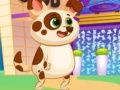 Gioco Cane Virtuale Amorevole in linea