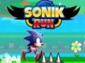 Gioco Corsa di Sonik in linea