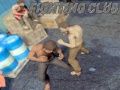 Gioco Club di Combattimento in linea