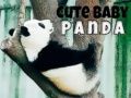 Gioco Carinissimo Baby Panda in linea