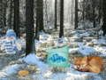Gioco Avventura nella Foresta del Paese delle Meraviglie Invernale in linea