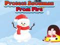 Gioco Proteggi il pupazzo di neve dal fuoco in linea