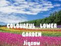 Gioco Puzzle del Giardino di Fiori Colorati in linea