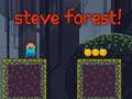 Gioco Foresta di Steve in linea