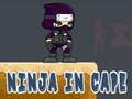Gioco Ninja in Cappotto in linea