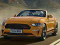 Gioco Ford Mustang California Special Slide in linea